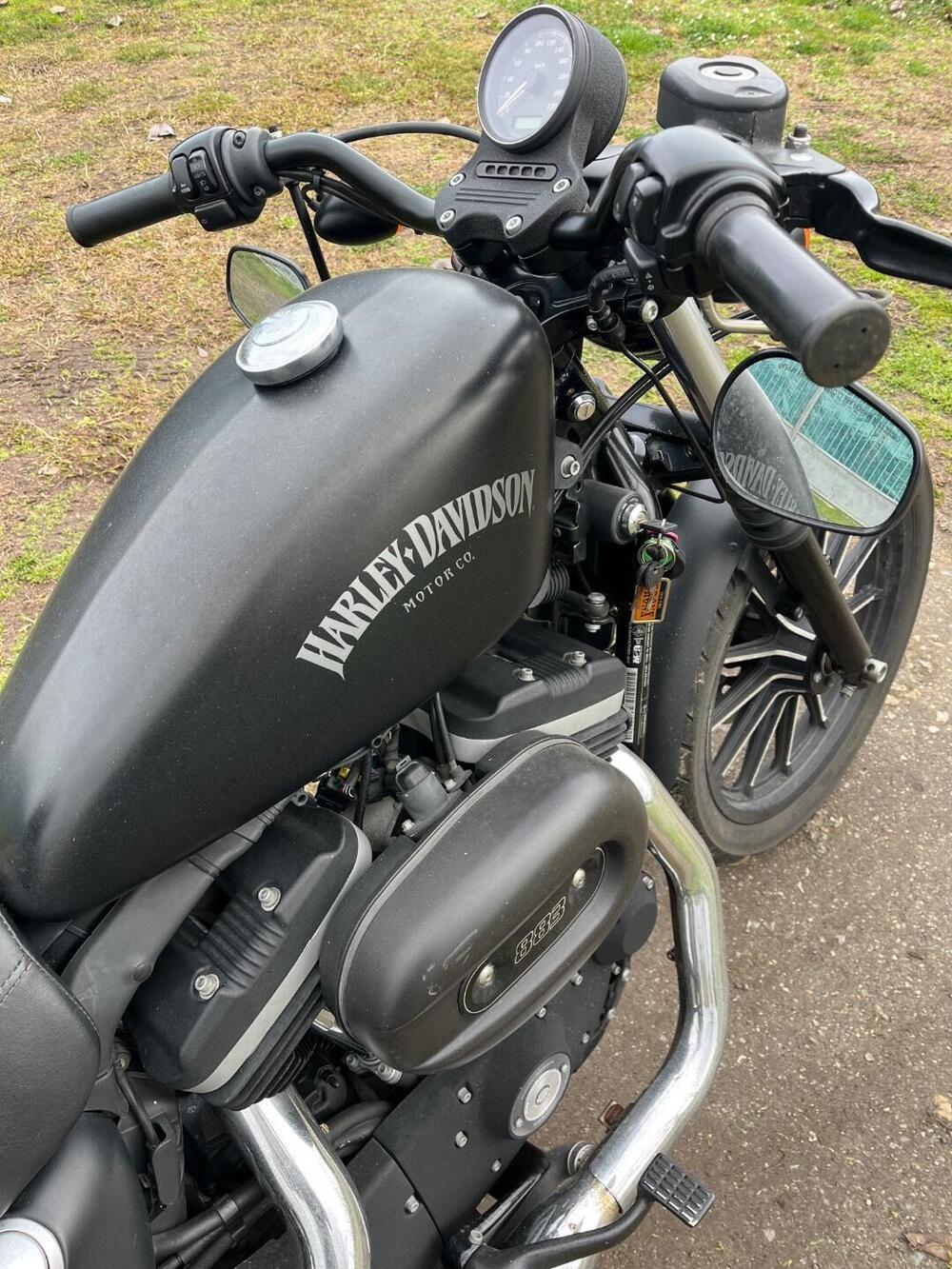 Harley-Davidson 883 Iron (2012 - 14) - XL 883N (5)