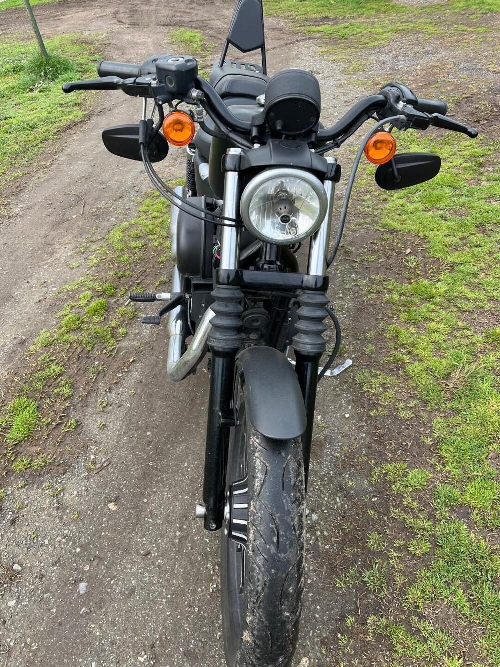 Harley-Davidson 883 Iron (2012 - 14) - XL 883N (6)