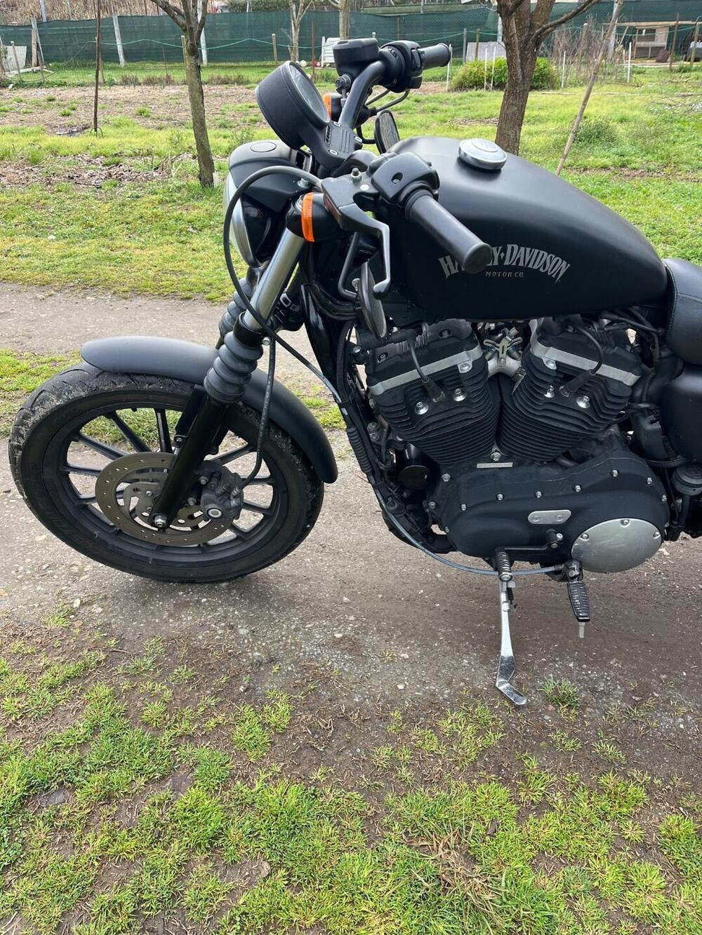 Harley-Davidson 883 Iron (2012 - 14) - XL 883N (8)