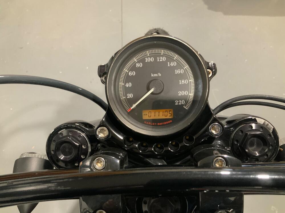 Harley-Davidson 1200 Roadster (2006 - 08) - XL 1200R (3)