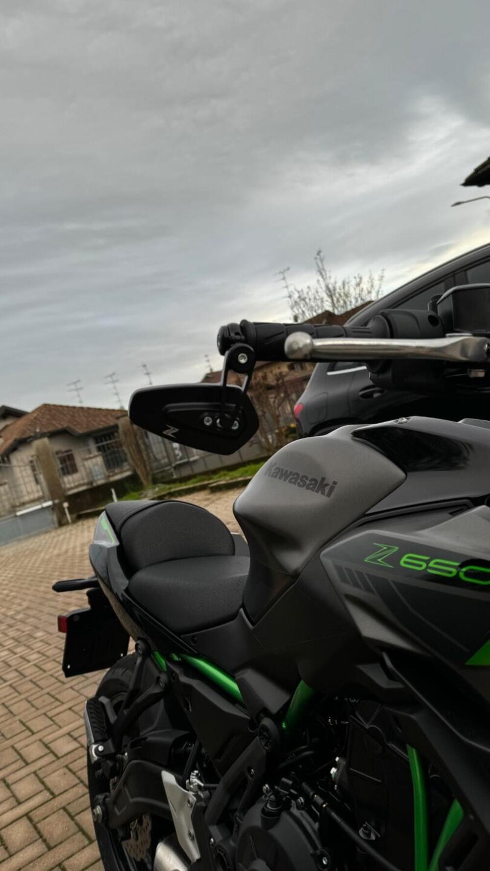 Kawasaki Z 650 Sport (2021 - 24) (4)