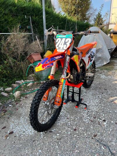 KTM 250 SX-F (2023) usata