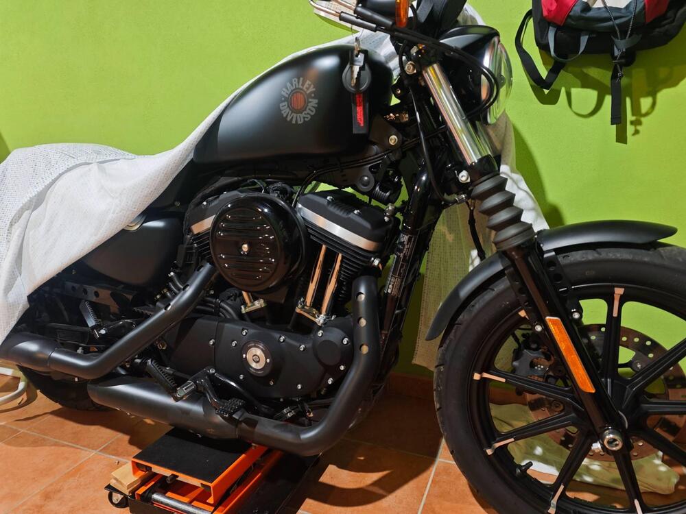 Harley-Davidson 883 Iron (2017 - 20) - XL 883N (2)