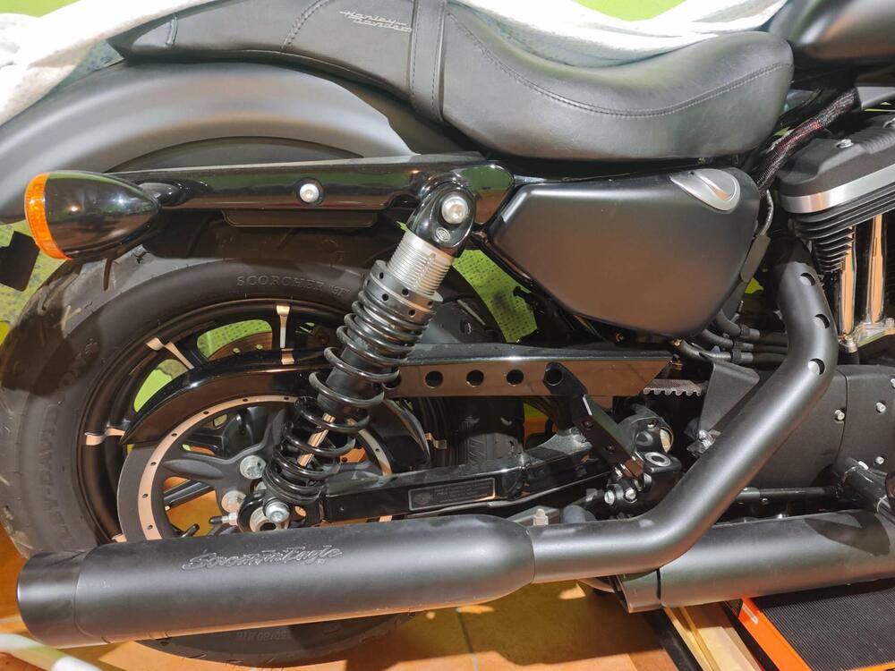 Harley-Davidson 883 Iron (2017 - 20) - XL 883N (3)