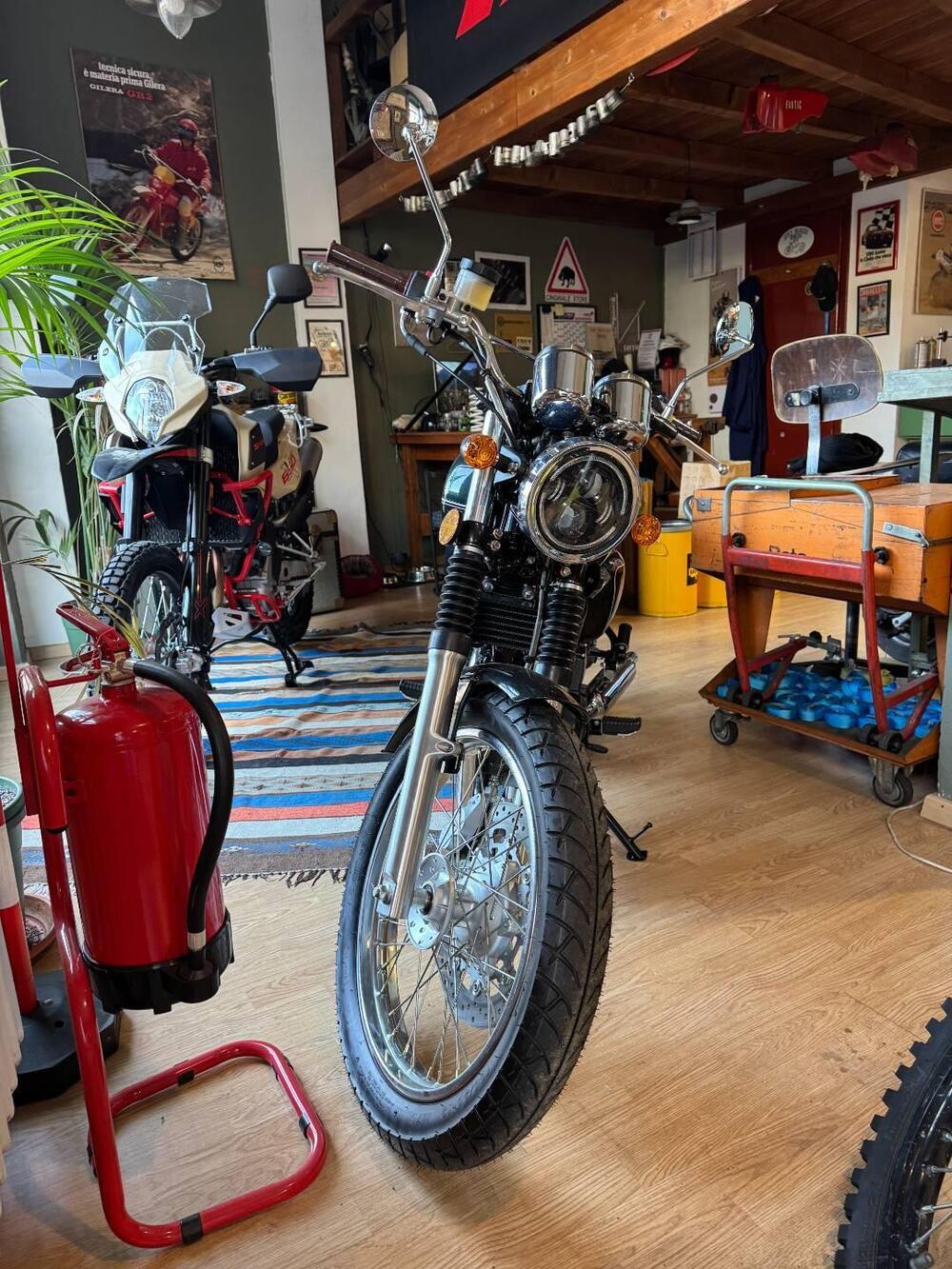 Swm Gran Turismo 650 (2024 - 25) (2)