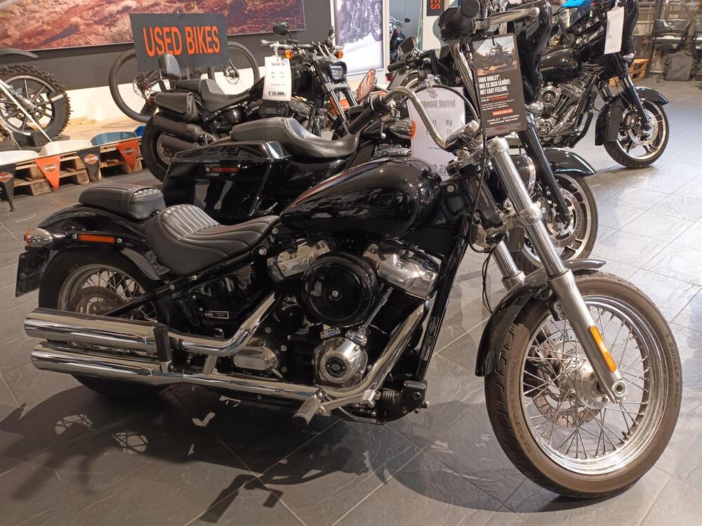 Harley-Davidson Softail Standard (2021 - 25) (2)
