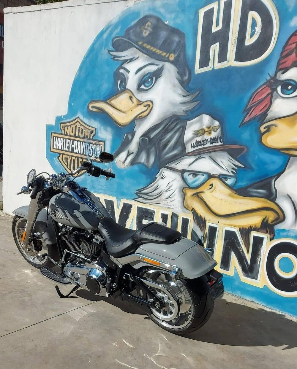 Harley-Davidson Fat Boy 117 (2025 - 26) (2)