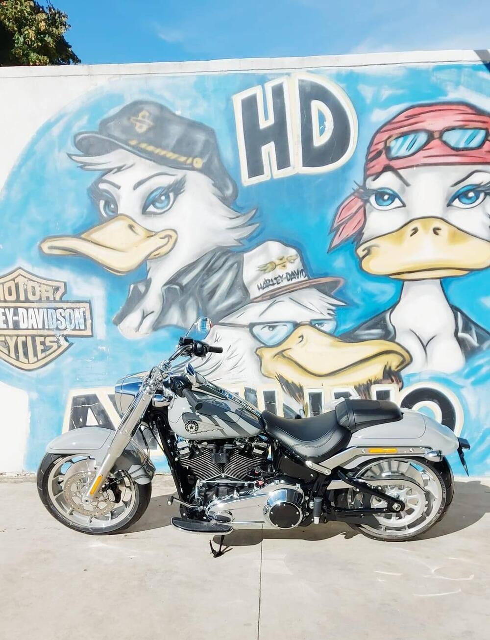 Harley-Davidson Fat Boy 117 (2025 - 26) (3)