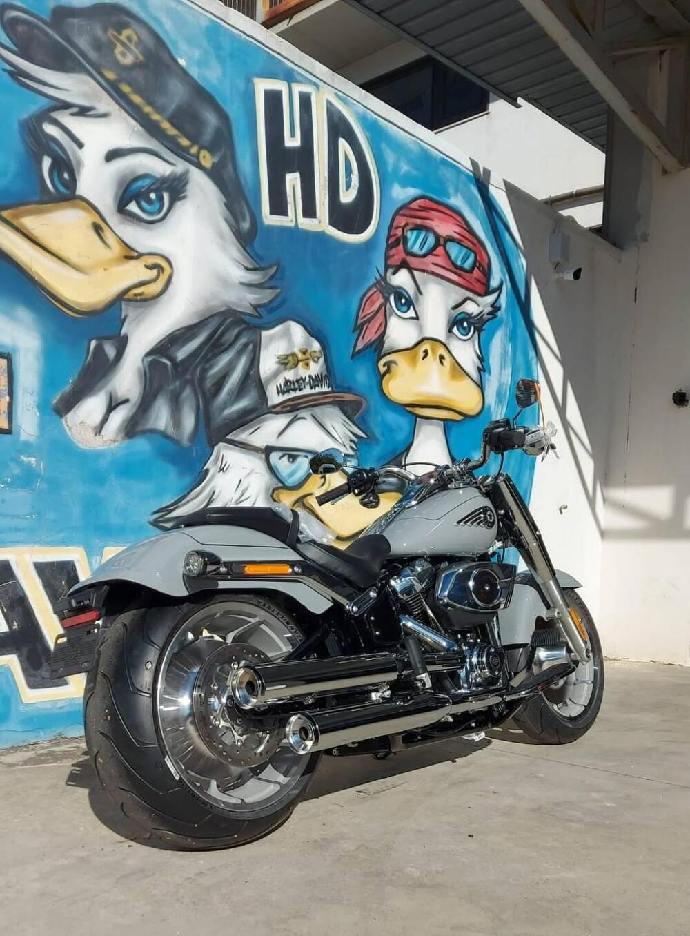 Harley-Davidson Fat Boy 117 (2025 - 26) (7)