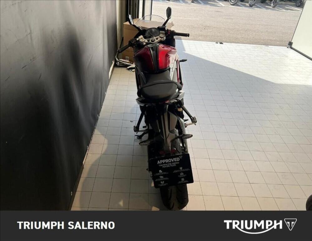 Triumph Daytona 660 (2024 - 26) (5)