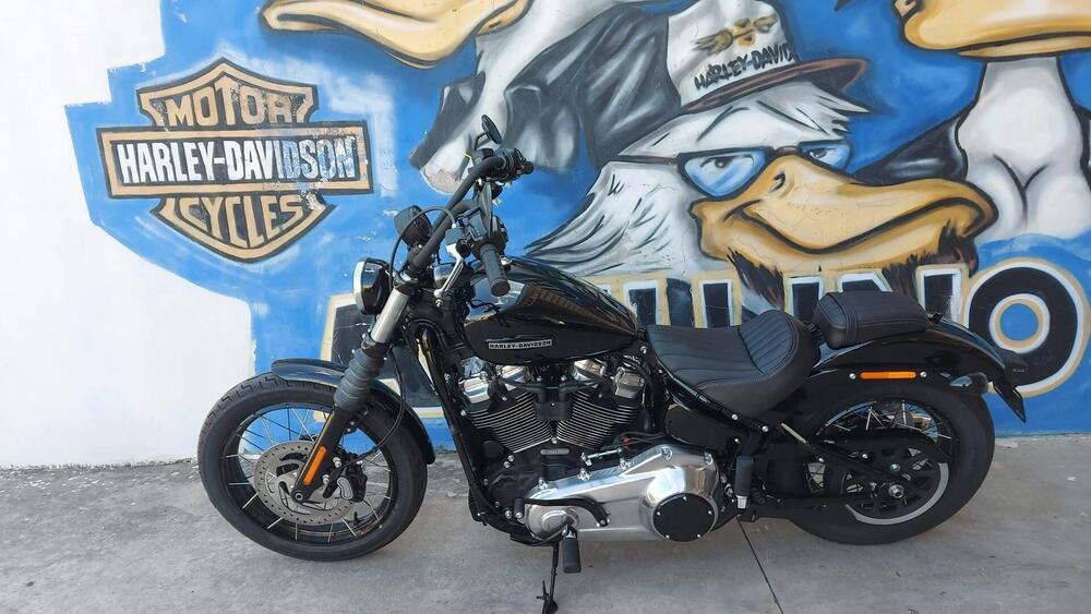 Harley-Davidson Street Bob 117 (2025 - 26) (2)