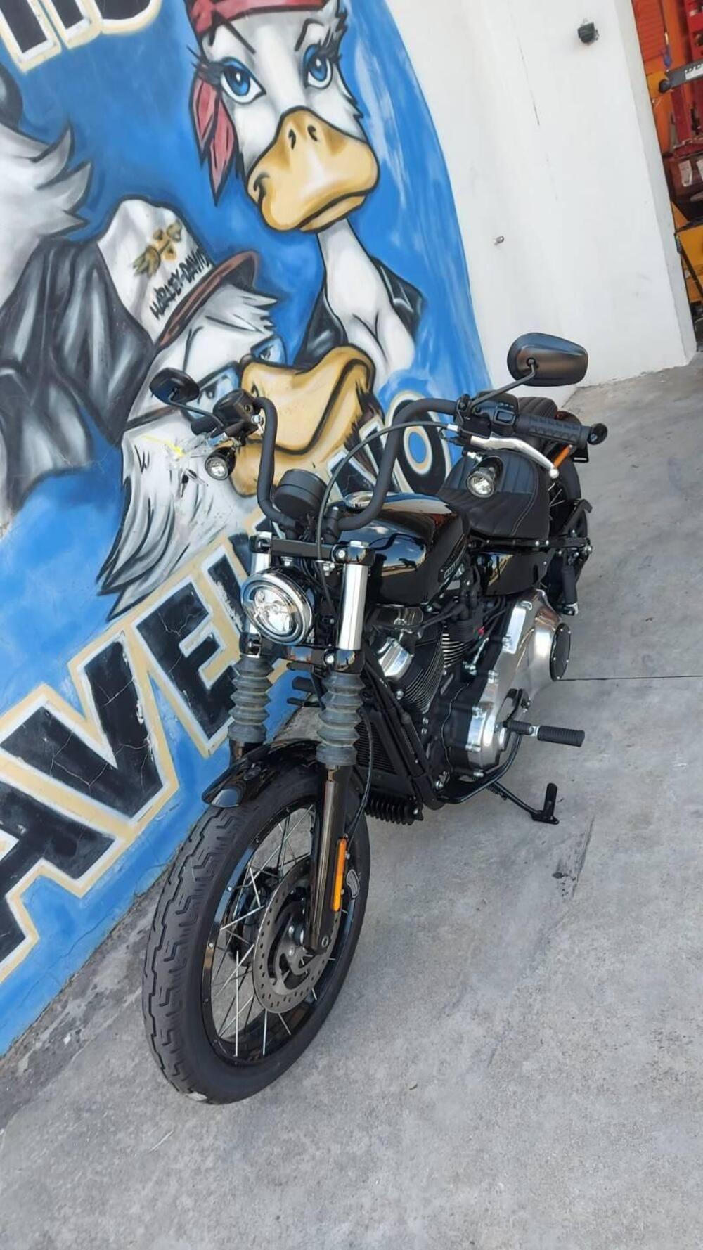 Harley-Davidson Street Bob 117 (2025 - 26) (5)