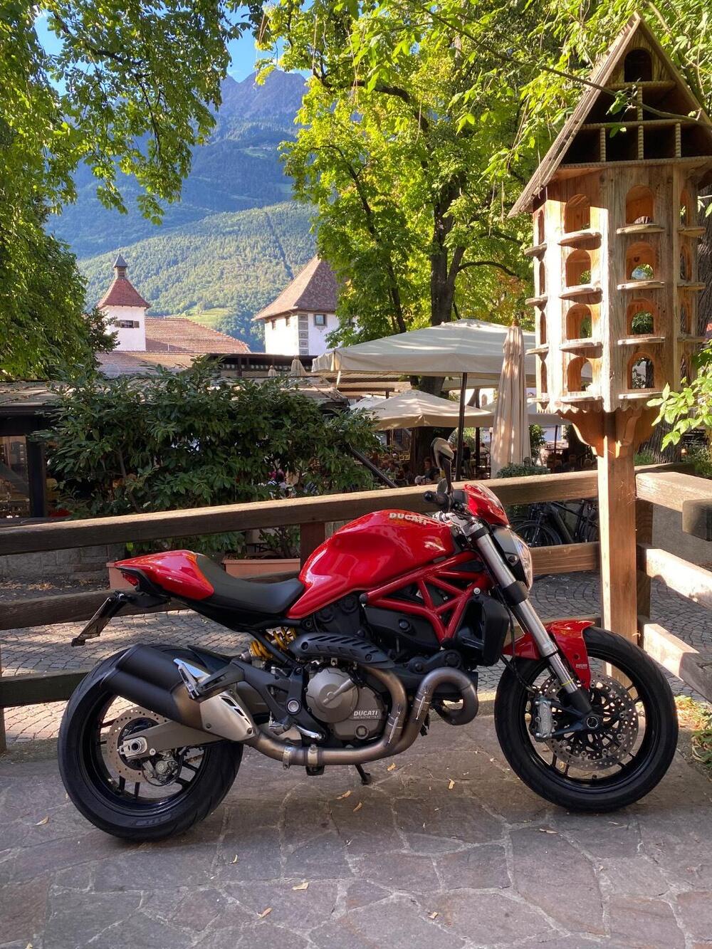Ducati Monster 821 ABS (2014 - 17)