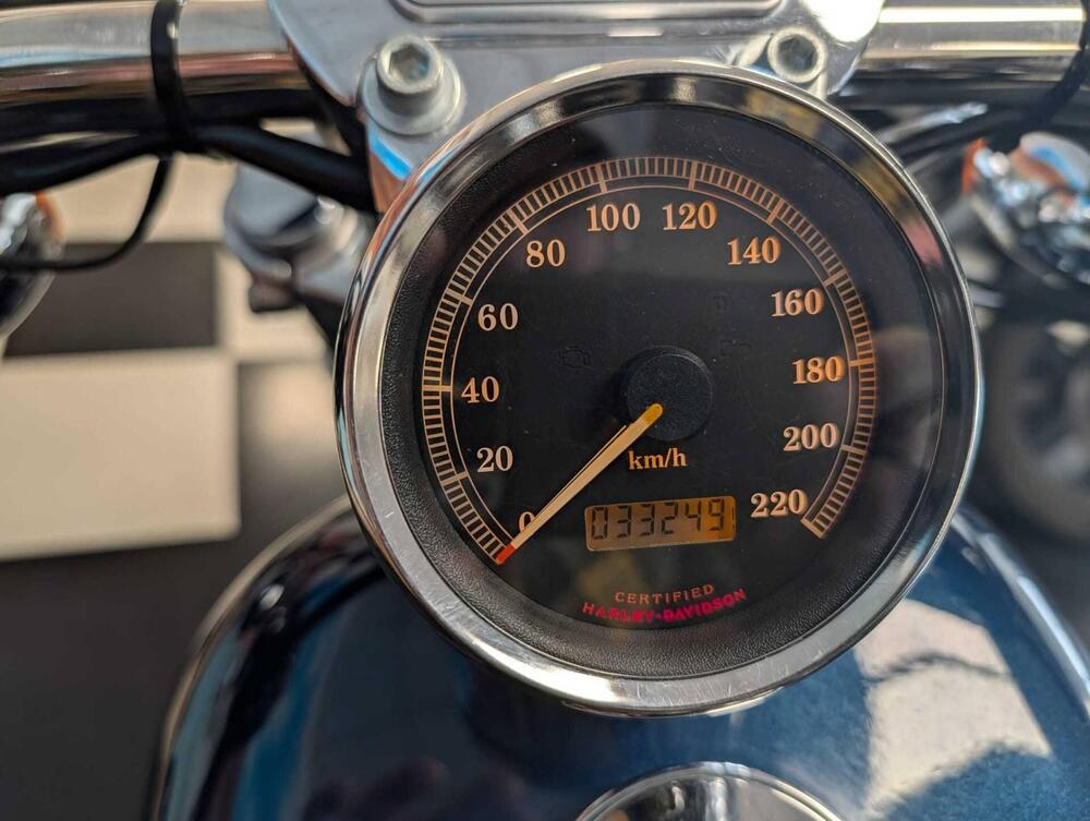 Harley-Davidson 883 Custom (2001 - 05) - XL 53C (9)