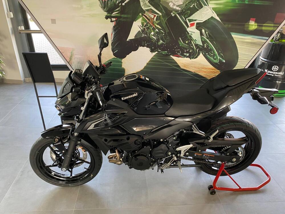 Kawasaki Z 500 (2024 - 26) (4)