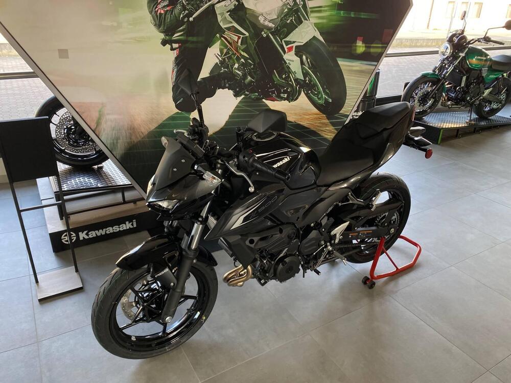 Kawasaki Z 500 (2024 - 26) (5)