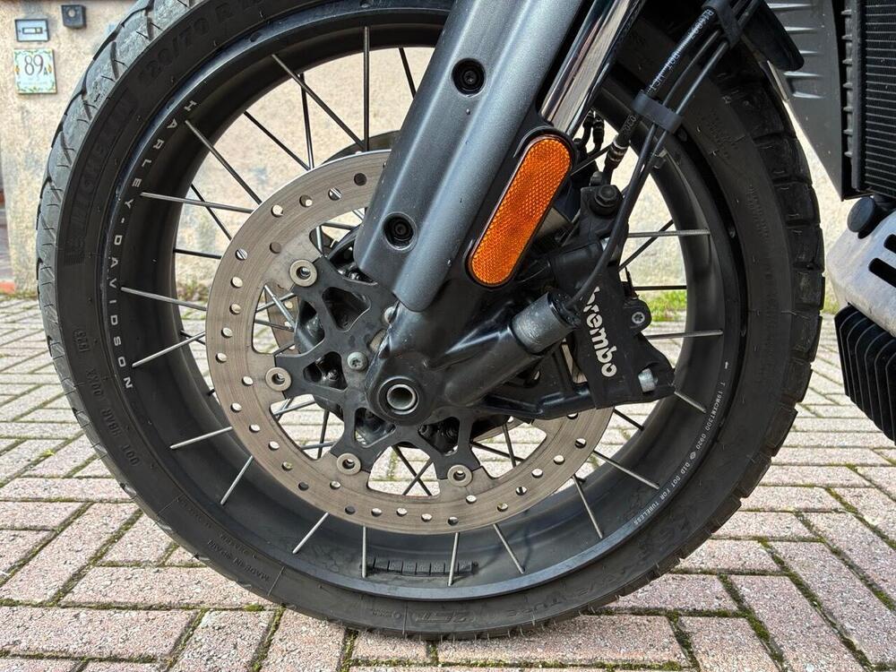 Harley-Davidson Pan America 1250 Special (2020 - 25) (3)