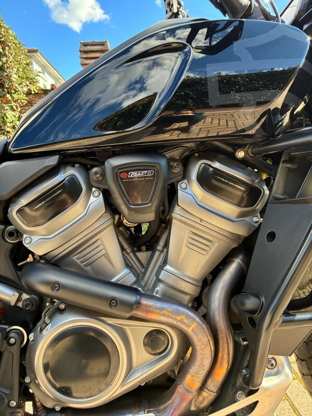 Harley-Davidson Pan America 1250 Special (2020 - 25) (6)