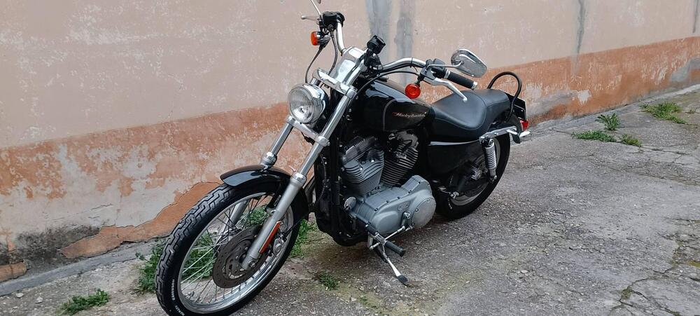 Harley-Davidson 883 Custom (2001 - 05) - XL 53C