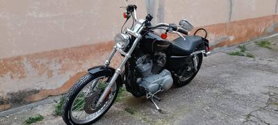 Harley-Davidson 883 Custom (2001 - 05) - XL 53C usata