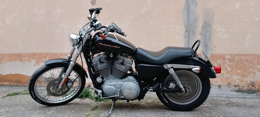 Harley-Davidson 883 Custom (2001 - 05) - XL 53C (2)