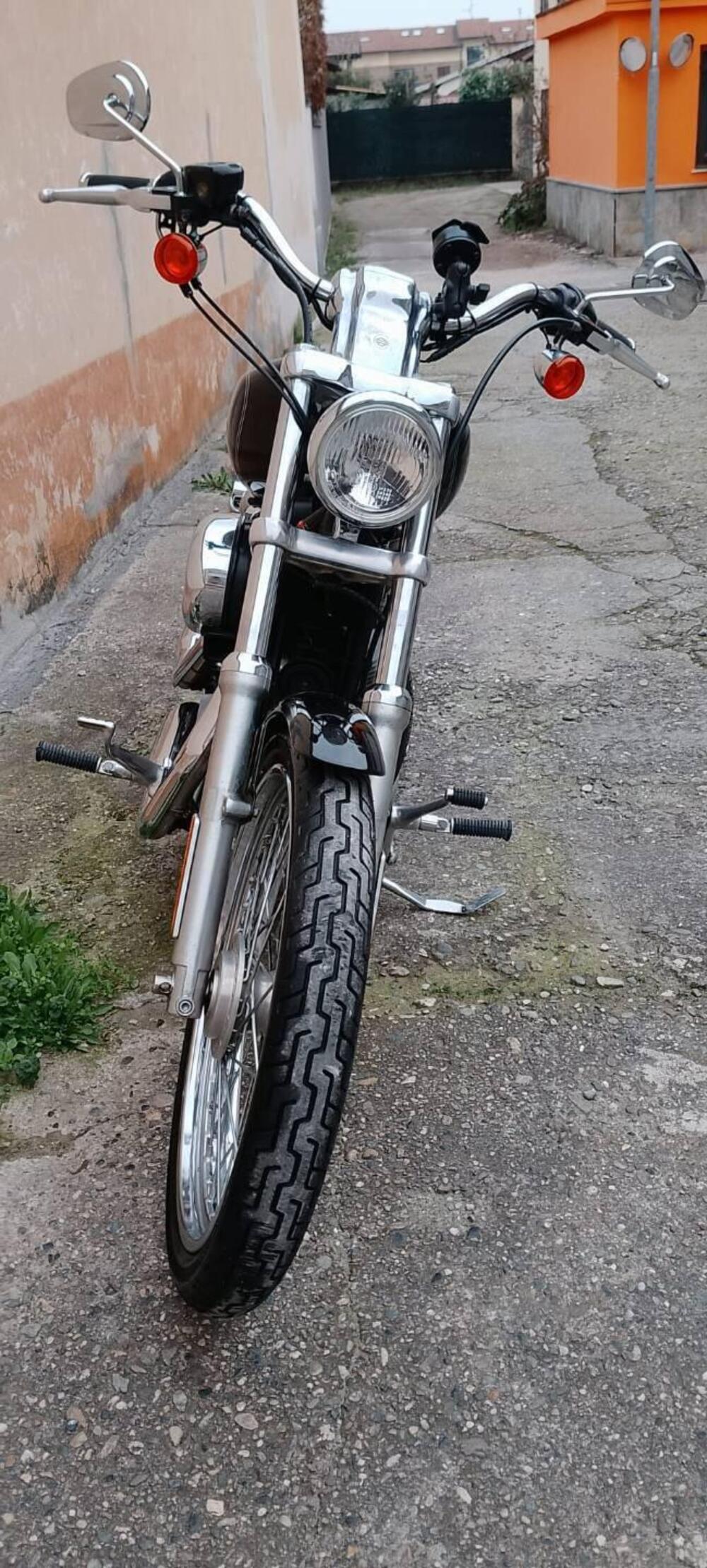 Harley-Davidson 883 Custom (2001 - 05) - XL 53C (3)