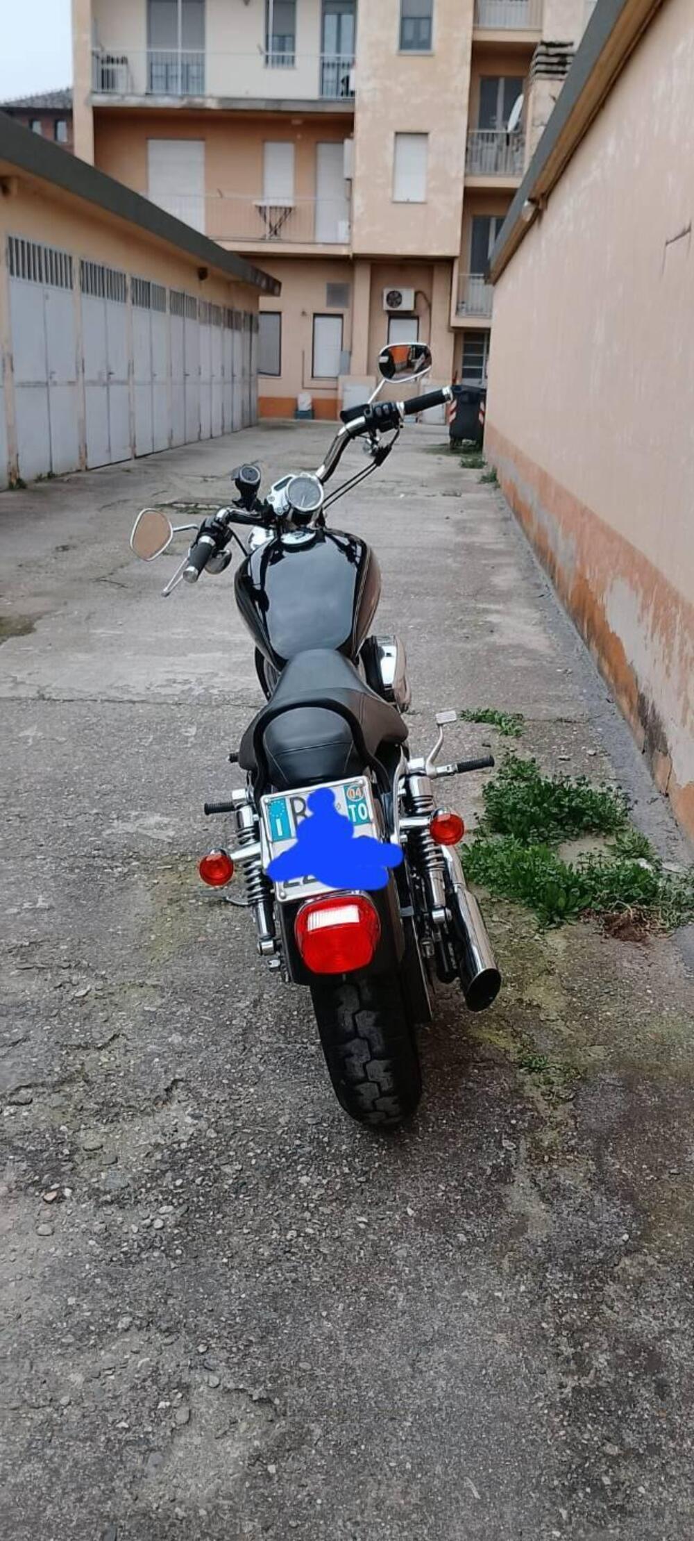 Harley-Davidson 883 Custom (2001 - 05) - XL 53C (4)