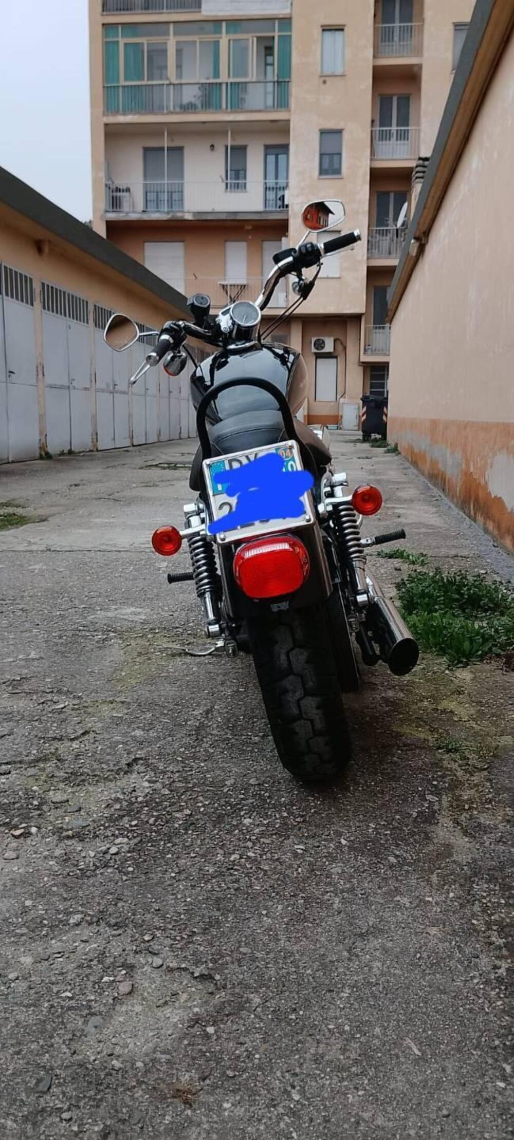 Harley-Davidson 883 Custom (2001 - 05) - XL 53C (5)