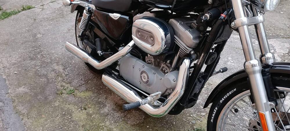 Harley-Davidson 883 Custom (2001 - 05) - XL 53C (6)