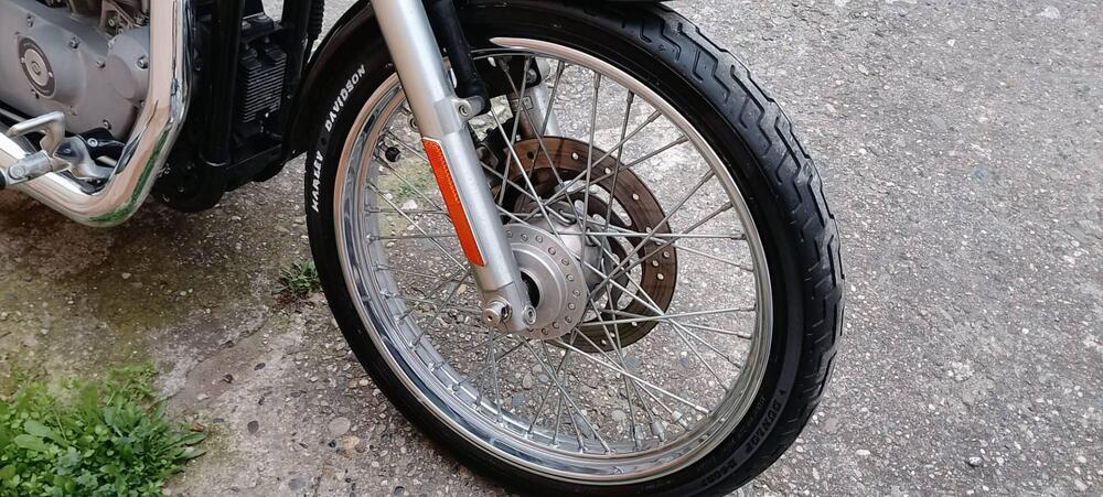 Harley-Davidson 883 Custom (2001 - 05) - XL 53C (7)