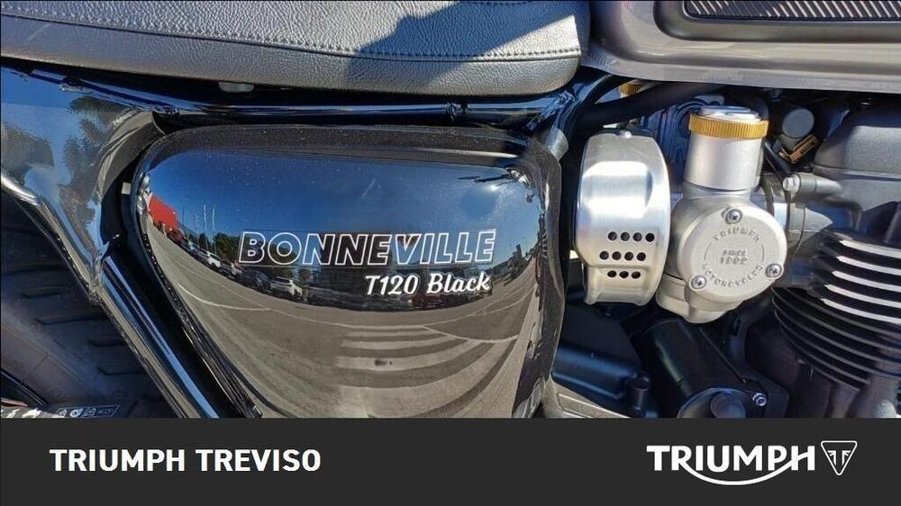 Triumph Bonneville T120 Black (2026) (3)
