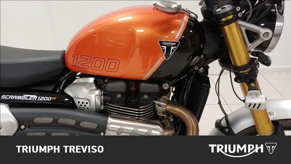 Triumph Scrambler 1200 XE (2024 - 25) (3)