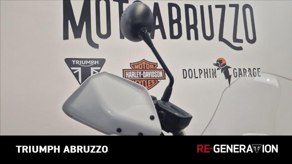 Bmw R nineT Urban GS 1200 (2017 - 20) (11)