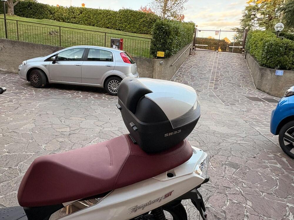 Sym Symphony 50 ST (2021 - 24) (3)