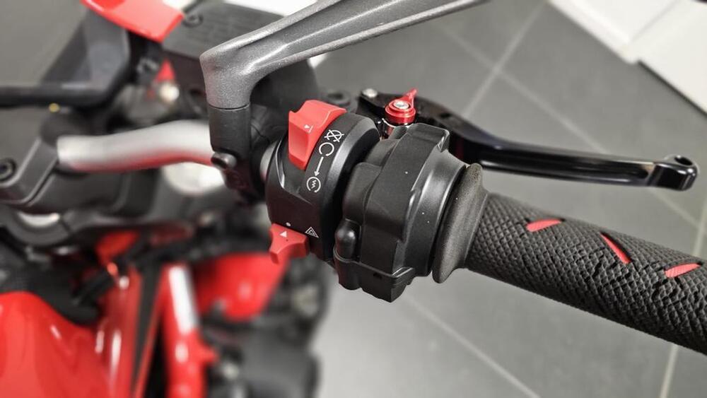 Ducati Monster 821 (2018 - 20) (7)