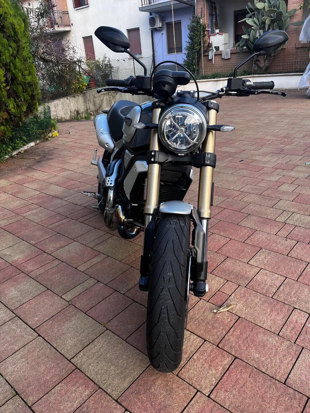 Ducati Scrambler 1100 Special (2018 - 20) (3)