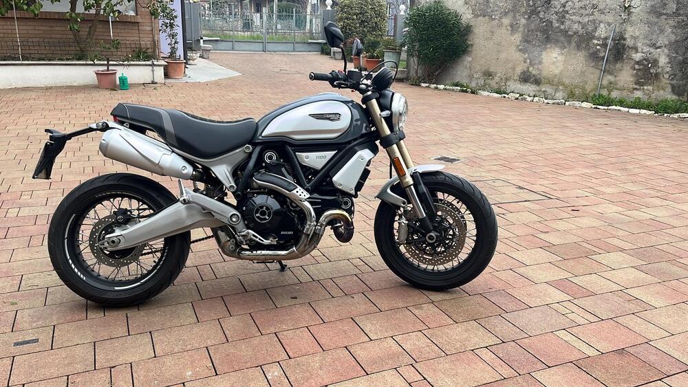 Ducati Scrambler 1100 Special (2018 - 20) (4)