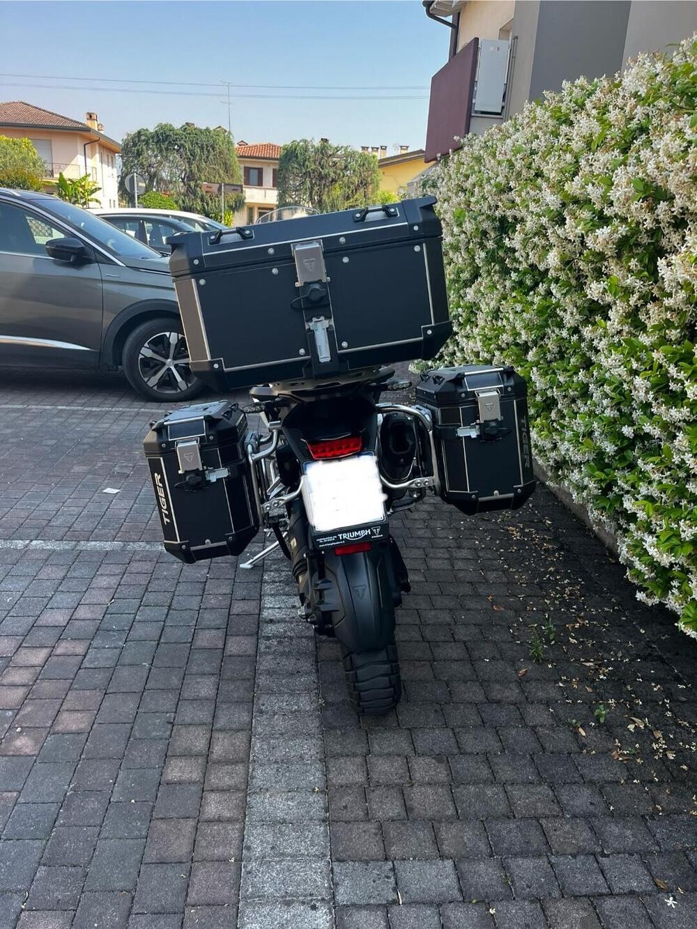 Triumph Tiger 1200 Rally Pro (2022 - 23) (4)