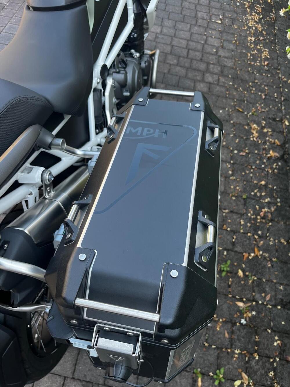 Triumph Tiger 1200 Rally Pro (2022 - 23) (6)