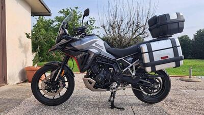Triumph Tiger 900 GT Pro (2024 - 26) usata
