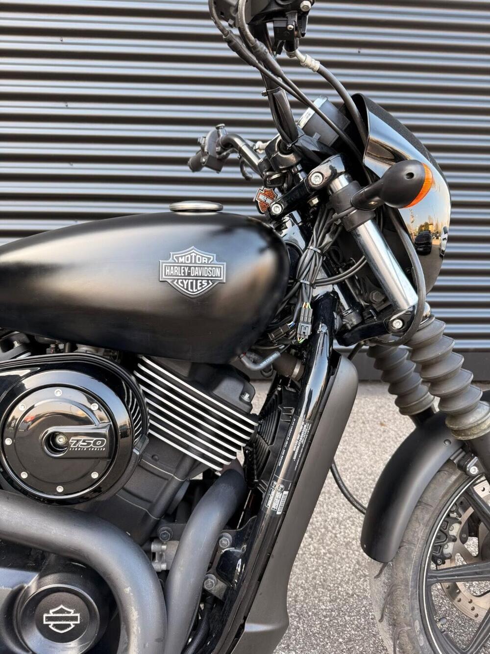 Harley-Davidson 750 Street (2014 - 16) - XG 750 (6)
