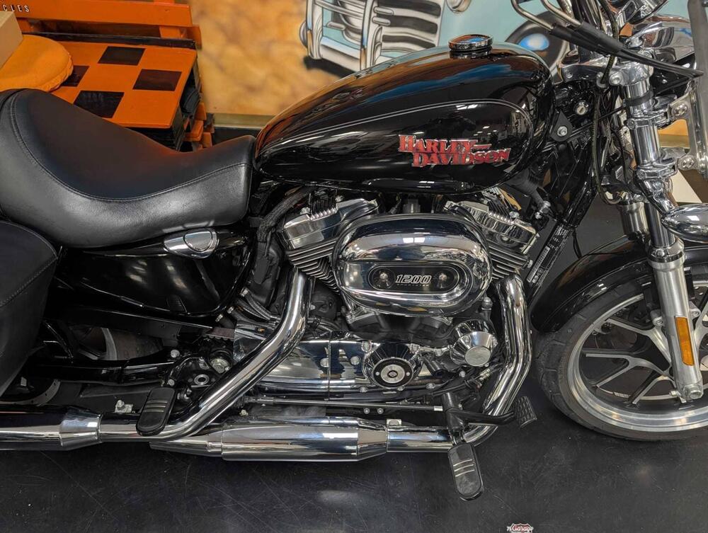 Harley-Davidson 1200 SuperLow (2014 - 16) - XL 1200T (9)