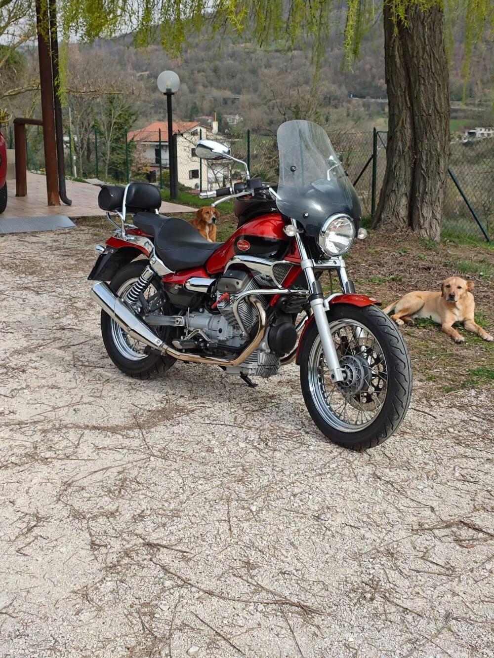 Moto Guzzi Nevada 750 Classic i.e. (2004 - 06) (3)