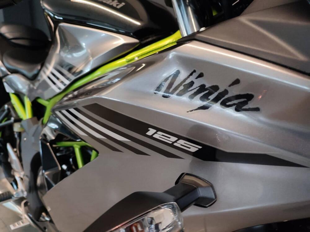 Kawasaki Ninja 125 (2025 - 26) (3)