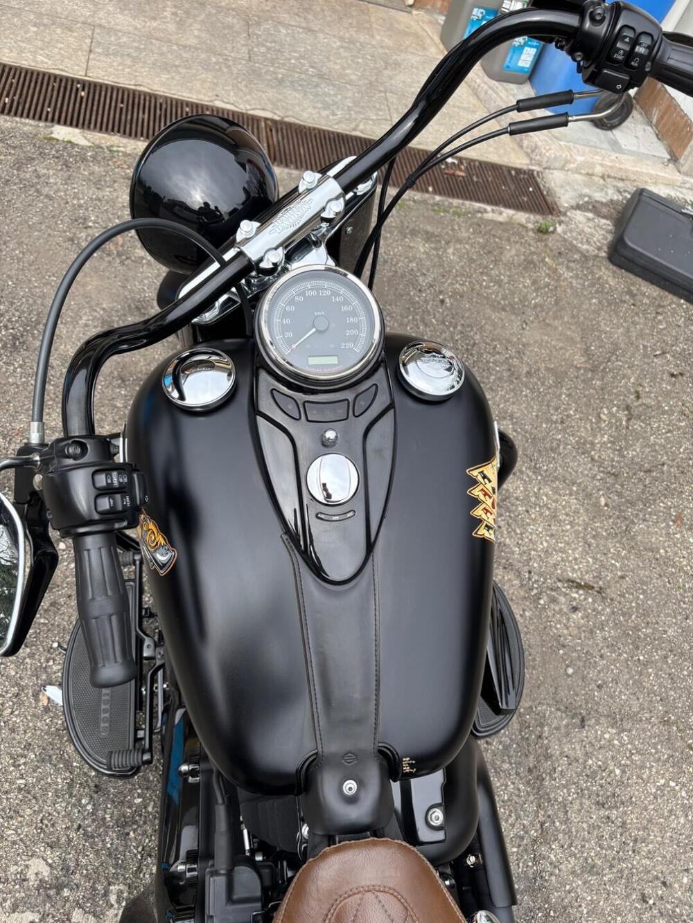 Harley-Davidson 1690 Slim (2011 - 16) - FLS (5)
