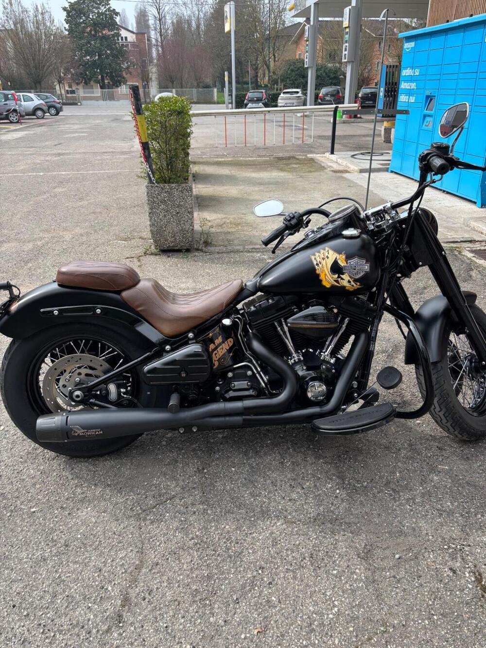 Harley-Davidson 1690 Slim (2011 - 16) - FLS (9)