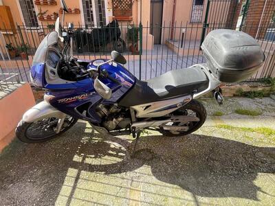 Honda Transalp XL 650V (2005 - 06) usata