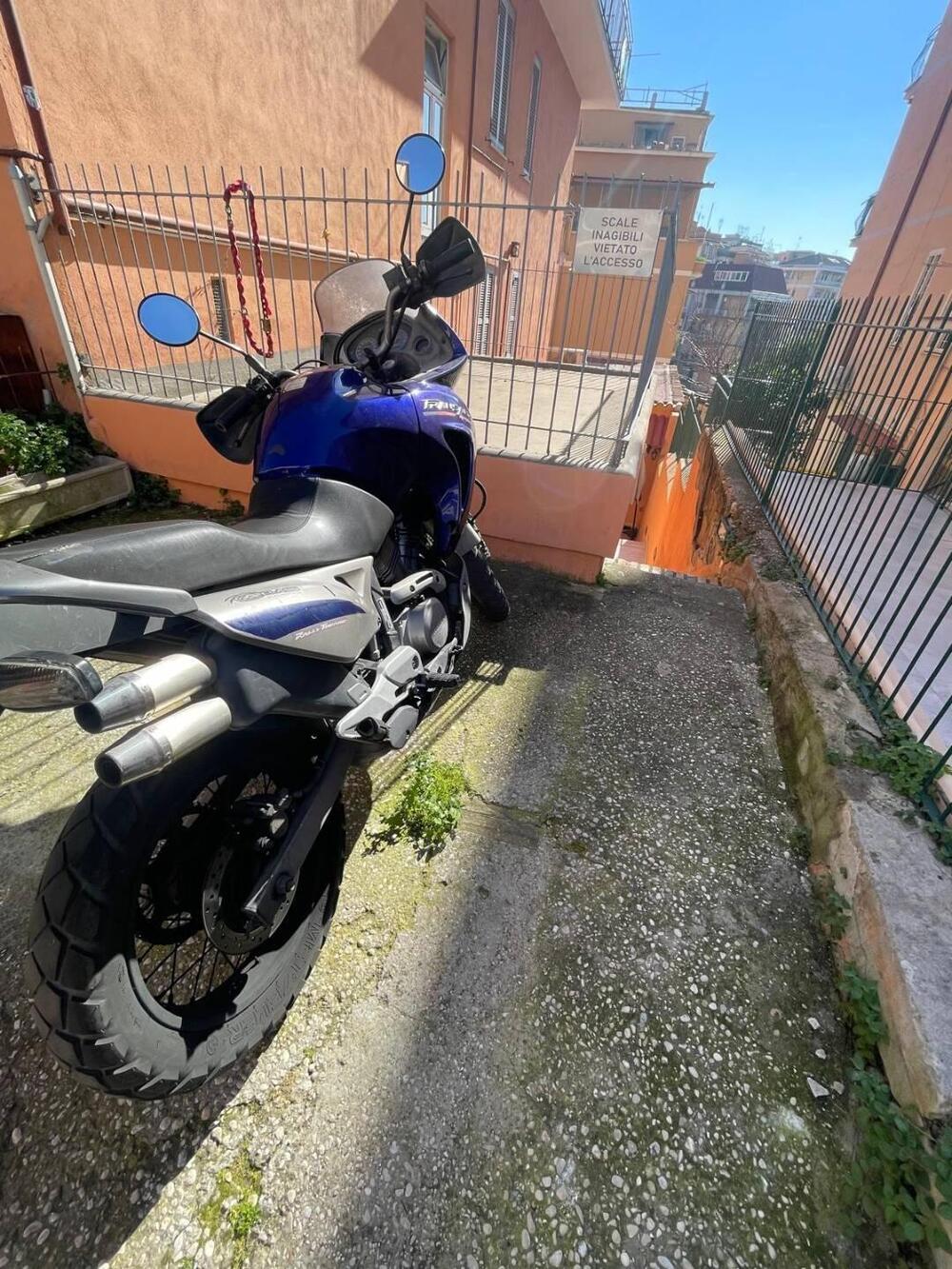 Honda Transalp XL 650V (2005 - 06) (7)