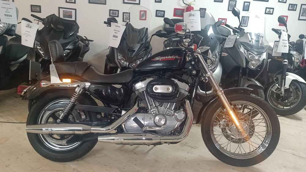 Harley-Davidson 883 Standard (2001 - 05) - XL 883