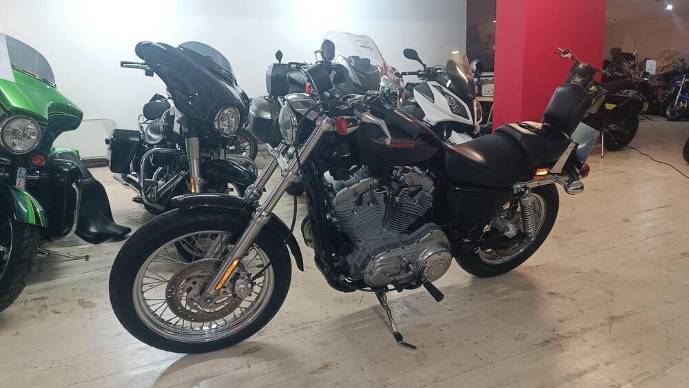 Harley-Davidson 883 Standard (2001 - 05) - XL 883 (3)